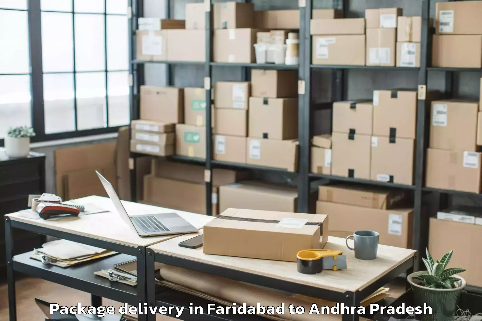 Faridabad to Peddapanjani Package Delivery